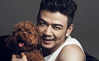 爆料娱乐圈杨烁简介百度百科,娱乐圈实力派演员的崛起之路 第3张 爆料娱乐圈杨烁简介百度百科,娱乐圈实力派演员的崛起之路 第3张