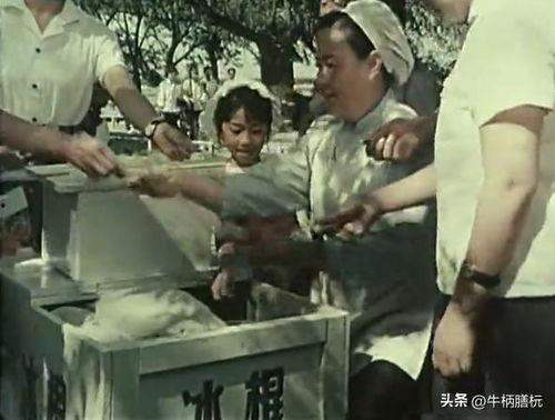 电影黑三角在线观看,揭秘神秘三角洲的惊险冒险